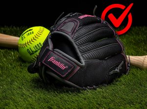 Franklin Sports Fastpitch Pro Series Softball Gloves