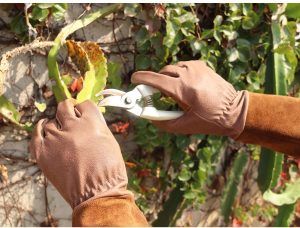 Handlandy Pruning Gloves
