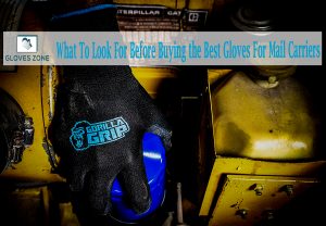 What To Look For Before Buying the Best Gloves For Mail Carriers