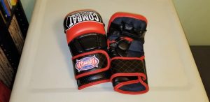 Combat MMA Gloves 