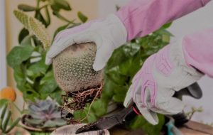 4. Vgo Premium Genuine Anti-Impact Gardening Gloves 