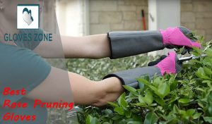 Best Rose Pruning Gloves
