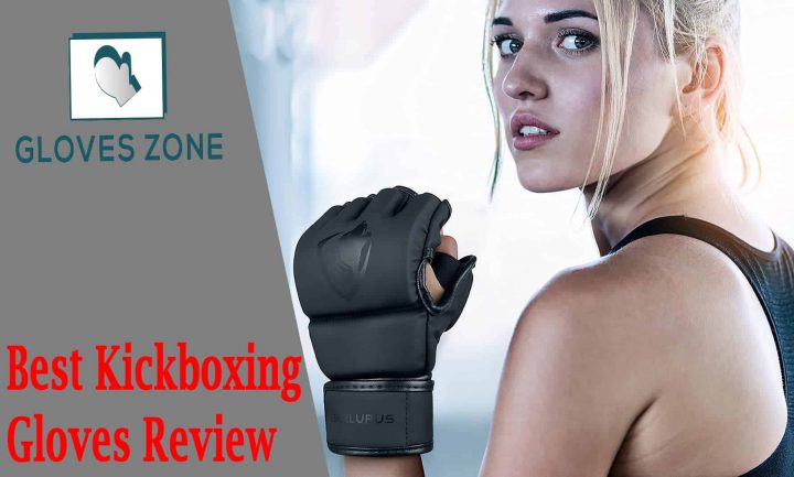 Best Kickboxing Gloves Review