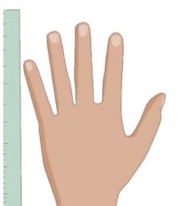 Measure Infield Glove Size