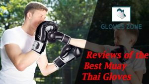 Reviews of the Best Muay Thai Gloves